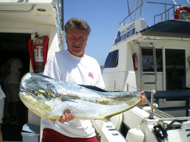 Dorado Cavalier & Blue Marlin Sport Fishing Gran Canaria