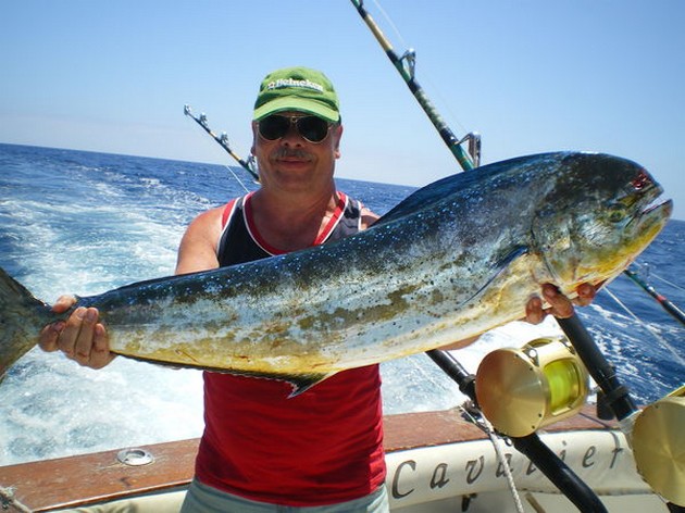 Dorado Cavalier & Blue Marlin Sport Fishing Gran Canaria