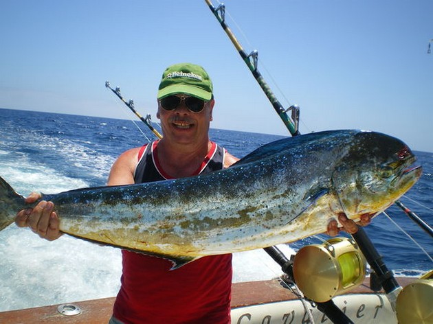 Dorado Explosie Cavalier & Blue Marlin Sport Fishing Gran Canaria