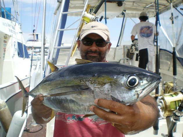 Yellowfin Tuna Cavalier & Blue Marlin Sport Fishing Gran Canaria