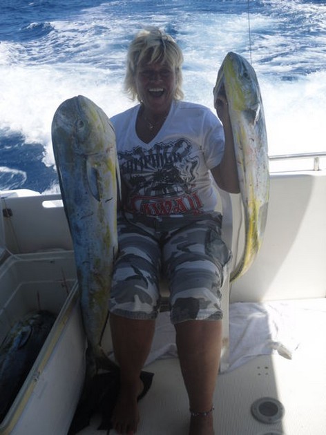 Dorado's Cavalier & Blue Marlin Sport Fishing Gran Canaria