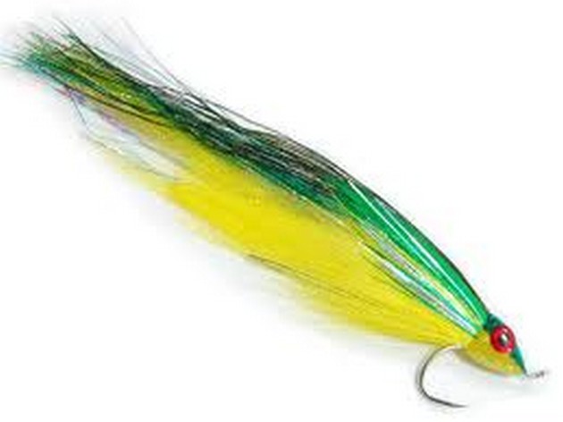 Dorado op de vlieg Cavalier & Blue Marlin Sport Fishing Gran Canaria