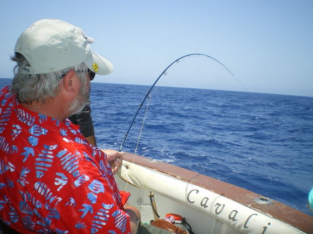 Flugfiske Cavalier & Blue Marlin Sport Fishing Gran Canaria