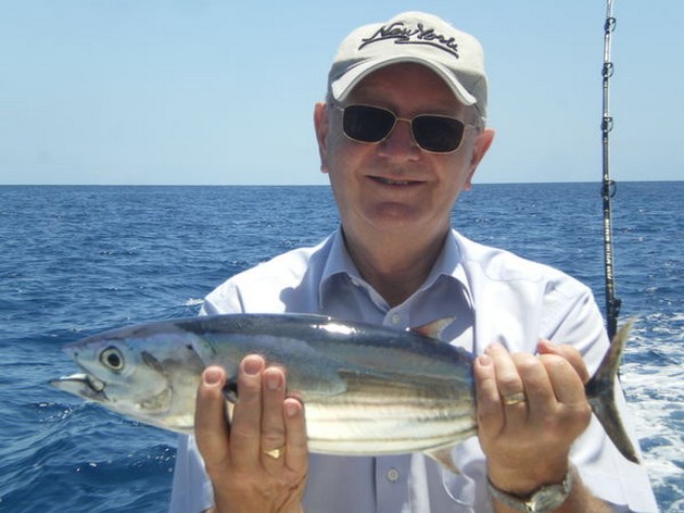 Skipjack Tuna Cavalier & Blue Marlin Sport Fishing Gran Canaria