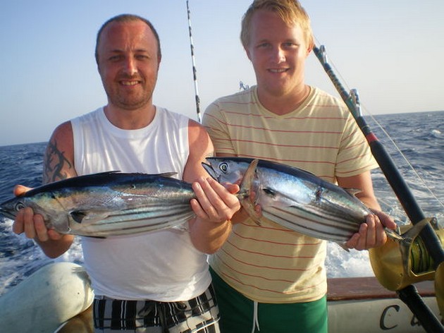 Skipjack Tuna's Cavalier & Blue Marlin Sport Fishing Gran Canaria