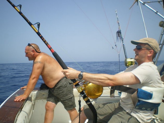 hooked up Cavalier & Blue Marlin Sport Fishing Gran Canaria