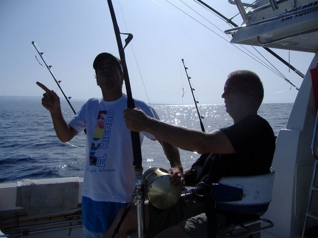 the chair Cavalier & Blue Marlin Sport Fishing Gran Canaria