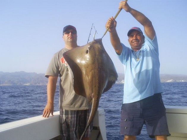 Common Stingray Cavalier & Blue Marlin Sport Fishing Gran Canaria