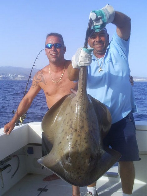 Roughtail Stingray Cavalier & Blue Marlin Sport Fishing Gran Canaria