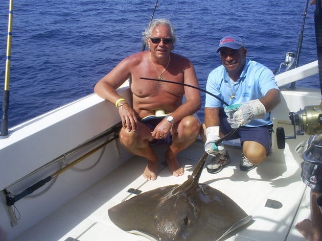 Common Stingray Cavalier & Blue Marlin Sport Fishing Gran Canaria