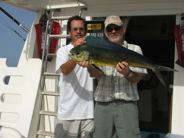 Dorado Cavalier & Blue Marlin Sport Fishing Gran Canaria