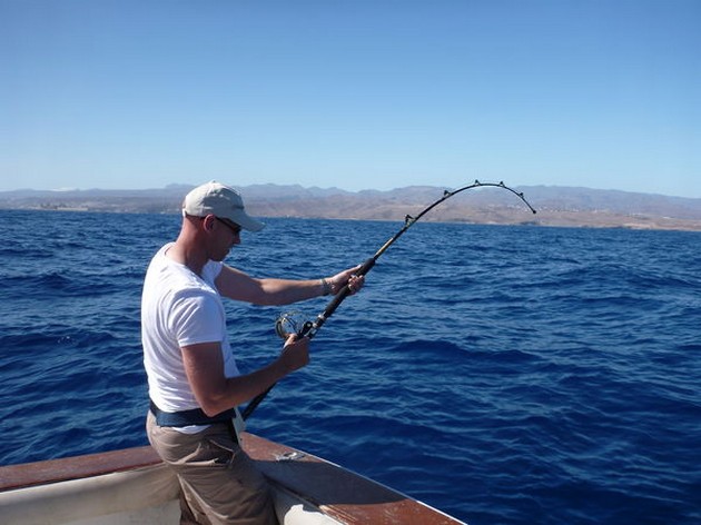 Rif vissen Cavalier & Blue Marlin Sport Fishing Gran Canaria