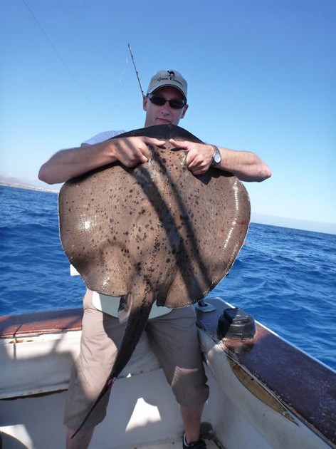 Roughtail Stingray Cavalier & Blue Marlin Sport Fishing Gran Canaria