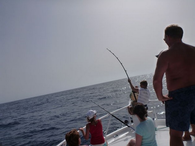 Geelvin Tonijnen Cavalier & Blue Marlin Sport Fishing Gran Canaria