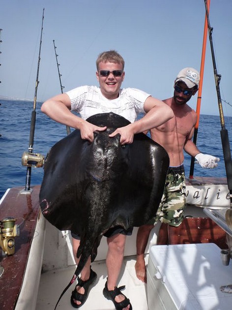 Black Stingray Cavalier & Blue Marlin Sport Fishing Gran Canaria