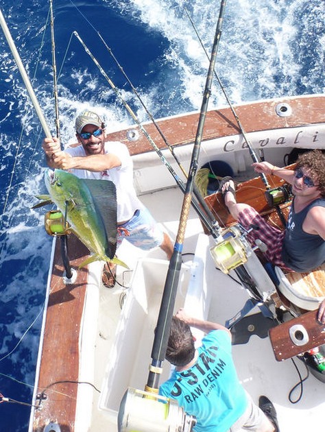 Dorado Cavalier & Blue Marlin Sport Fishing Gran Canaria