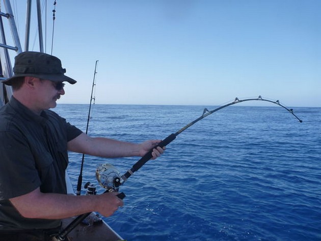hooked up Cavalier & Blue Marlin Sport Fishing Gran Canaria