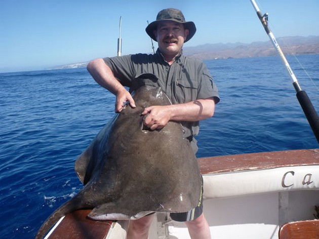 Common Stingray Cavalier & Blue Marlin Sport Fishing Gran Canaria