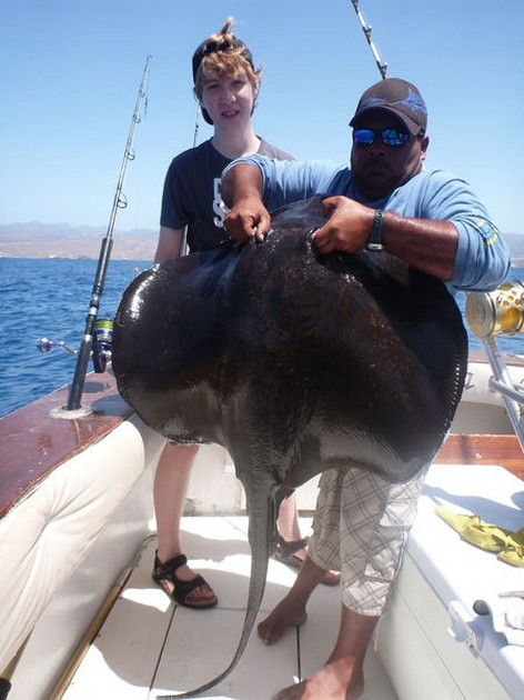 Common Stingray Cavalier & Blue Marlin Sport Fishing Gran Canaria