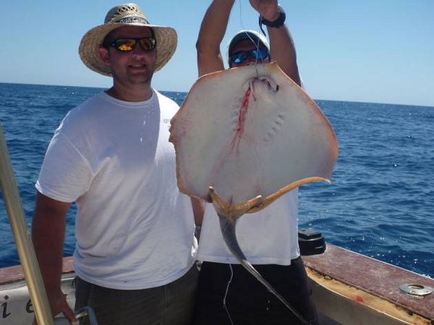 Common Stingray Cavalier & Blue Marlin Sport Fishing Gran Canaria