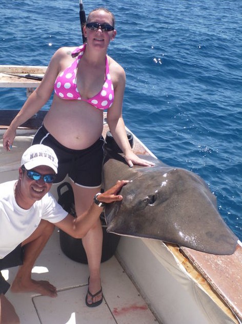 Common Stingray Cavalier & Blue Marlin Sport Fishing Gran Canaria