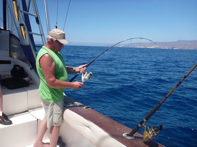 Angel shark Cavalier & Blue Marlin Sport Fishing Gran Canaria