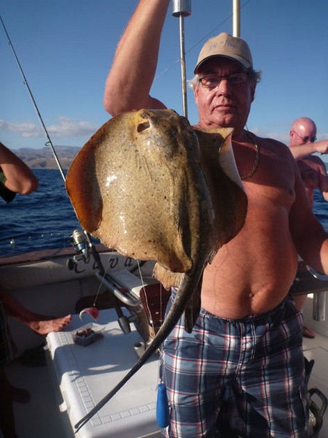 Common Stingray Cavalier & Blue Marlin Sport Fishing Gran Canaria