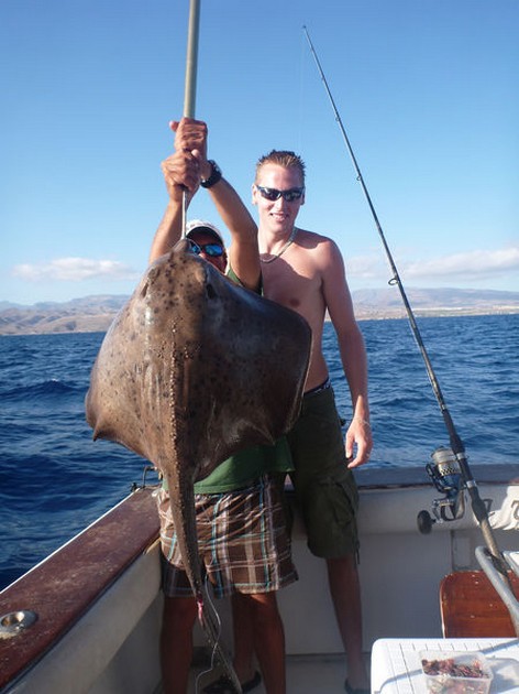 Roughtail Stingray Cavalier & Blue Marlin Sport Fishing Gran Canaria