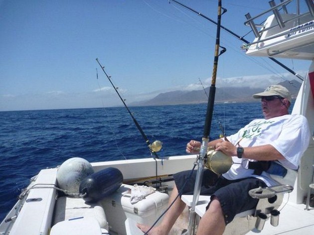 150 kg Blue Released Cavalier & Blue Marlin Sport Fishing Gran Canaria