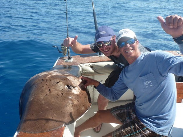 Roughtail Stingray Cavalier & Blue Marlin Sport Fishing Gran Canaria