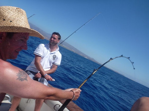 110 kg Roughtail Cavalier & Blue Marlin Sport Fishing Gran Canaria