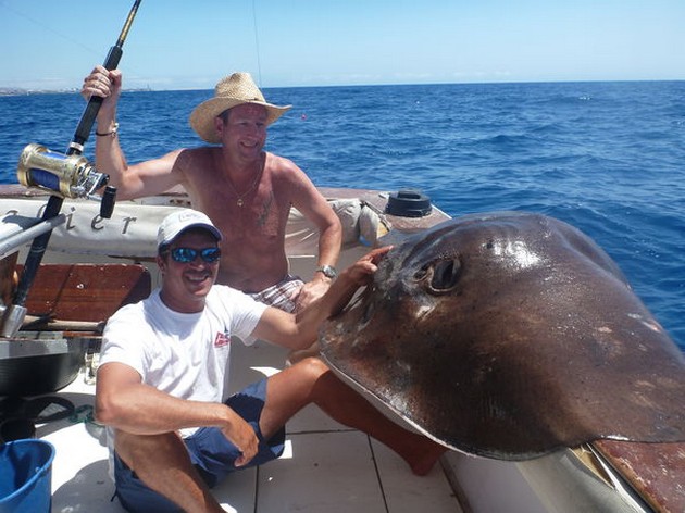12/09 110 kg Roughtail Stingray Cavalier & Blue Marlin Sport Fishing Gran Canaria