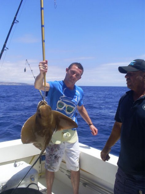 Eagle Ray Cavalier & Blue Marlin Sport Fishing Gran Canaria