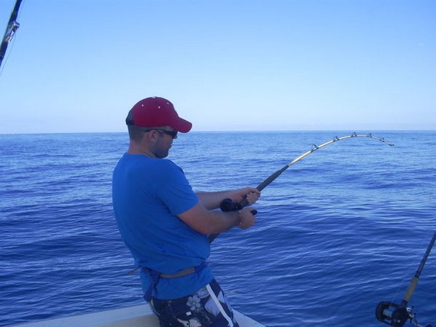 Hooked Up Cavalier & Blue Marlin Sport Fishing Gran Canaria