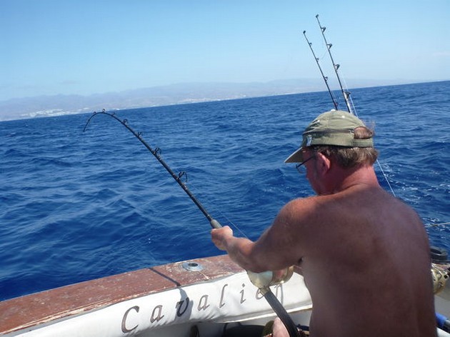 Dubbele Aanbeet Cavalier & Blue Marlin Sport Fishing Gran Canaria
