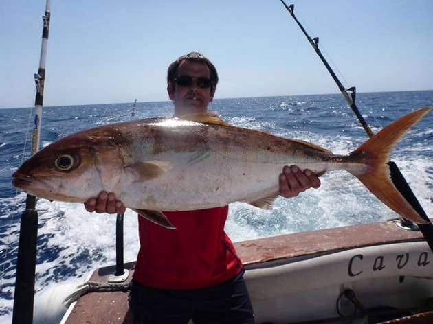 Amberjack Cavalier & Blue Marlin Sport Fishing Gran Canaria