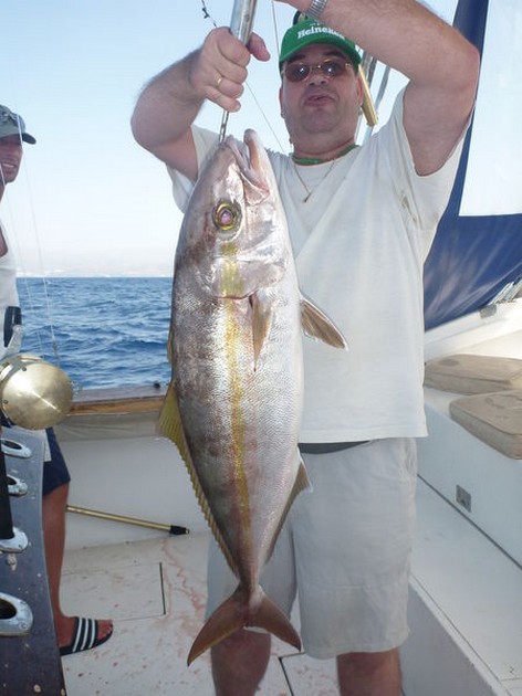 11/10 Amberjack Cavalier & Blue Marlin Sport Fishing Gran Canaria