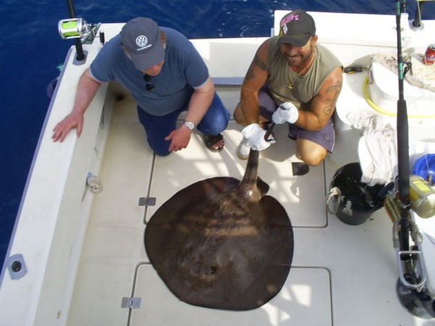 Bra storlek strålar Cavalier & Blue Marlin Sport Fishing Gran Canaria