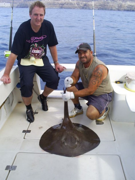 Roughtail Stingray Cavalier & Blue Marlin Sport Fishing Gran Canaria
