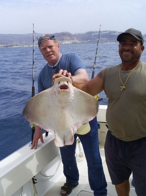 Eagle Ray Cavalier & Blue Marlin Sport Fishing Gran Canaria