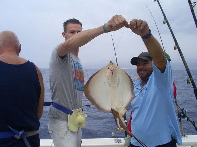 Common Stingray Cavalier & Blue Marlin Sport Fishing Gran Canaria