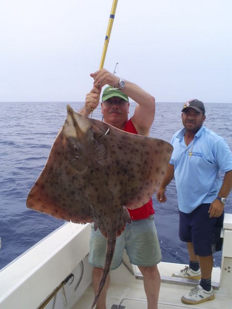 Bottle Nosed Skate Cavalier & Blue Marlin Sport Fishing Gran Canaria