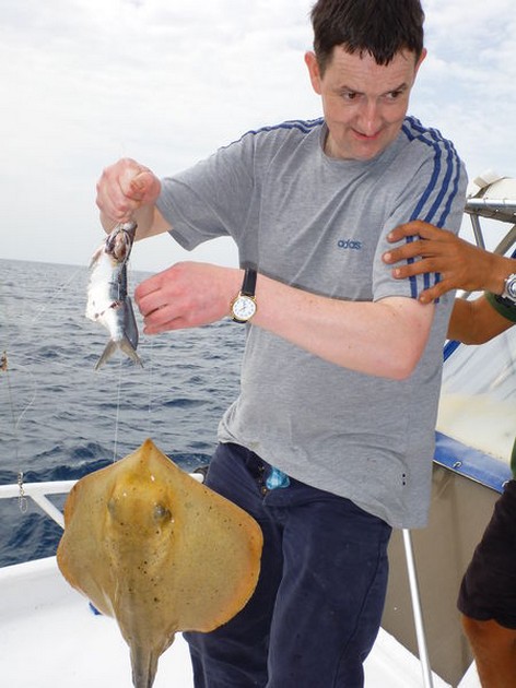 Common Sting Ray Cavalier & Blue Marlin Sport Fishing Gran Canaria