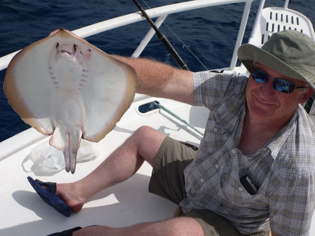 Common Sting Ray Cavalier & Blue Marlin Sport Fishing Gran Canaria