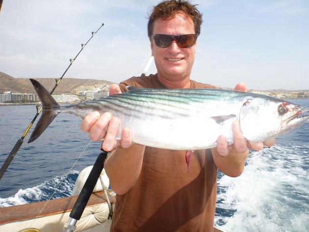 Atlantic Sierra Tuna Cavalier & Blue Marlin Sport Fishing Gran Canaria