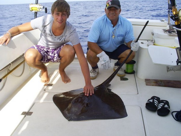 Common Sting Ray Cavalier & Blue Marlin Sport Fishing Gran Canaria