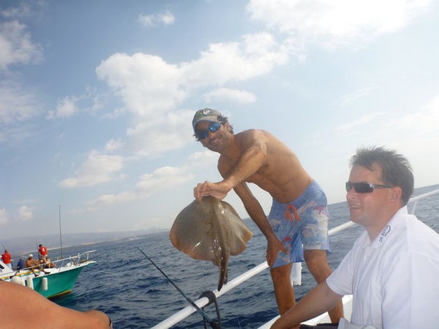 Common Stingray Cavalier & Blue Marlin Sport Fishing Gran Canaria