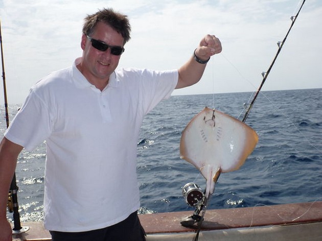 Common Sting Ray Cavalier & Blue Marlin Sport Fishing Gran Canaria
