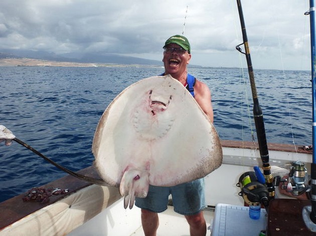 Common Stingray Cavalier & Blue Marlin Sport Fishing Gran Canaria