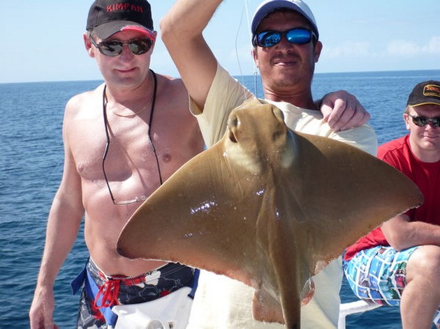 Eagle ray Cavalier & Blue Marlin Sport Fishing Gran Canaria